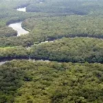 Congo Basin wide view