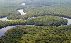 Congo Basin wide view